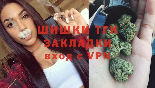 сатива Алексеевка