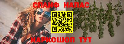 прущие крисы Бийск