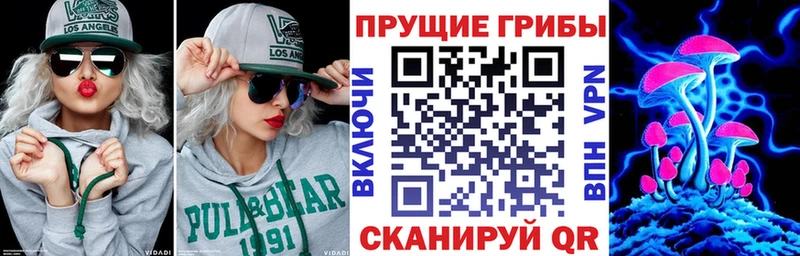 Галлюциногенные грибы GOLDEN TEACHER  наркота  Зерноград 