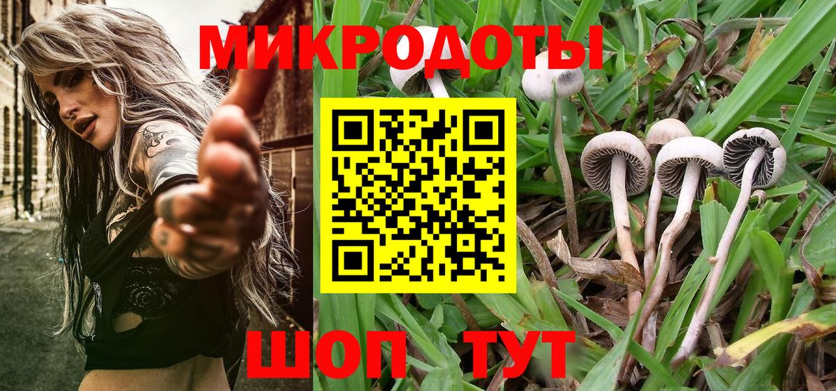 Псилоцибиновые грибы мухоморы Зерноград