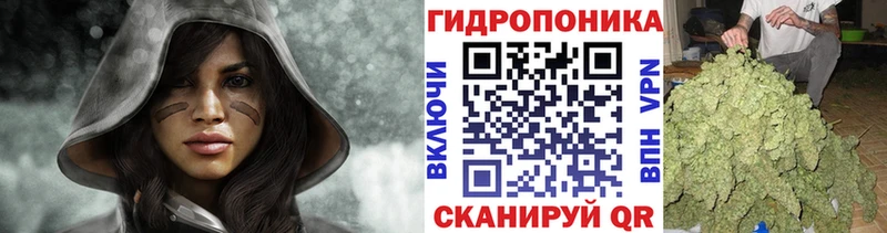 купить наркотик  Зерноград  Канабис конопля 