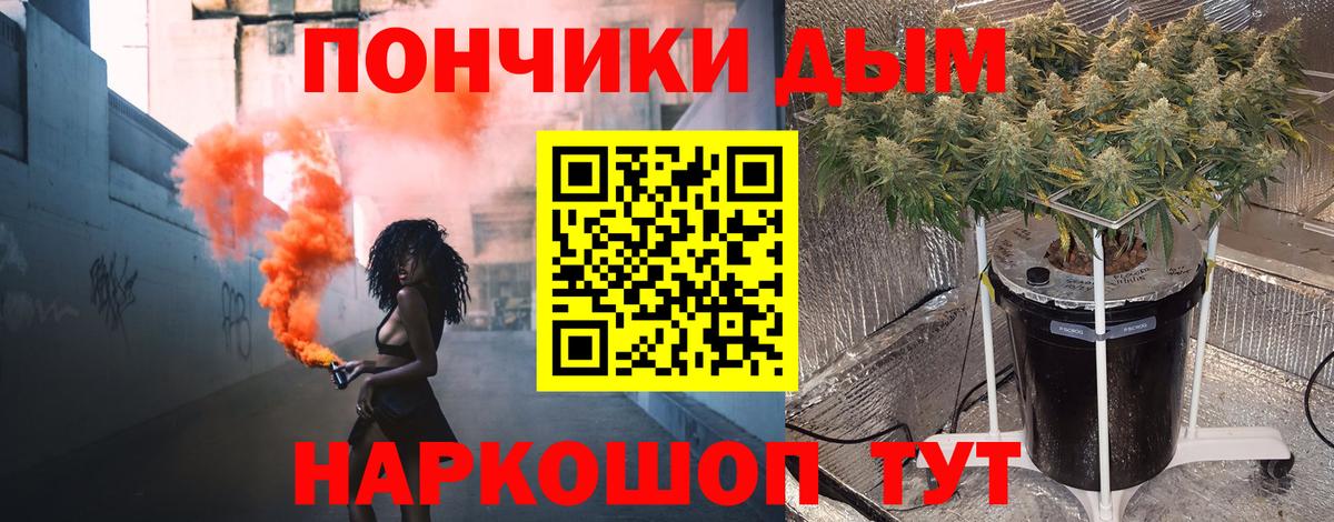 Шишки марихуана семена Зерноград